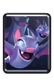 Bats