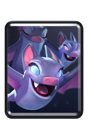 Bats